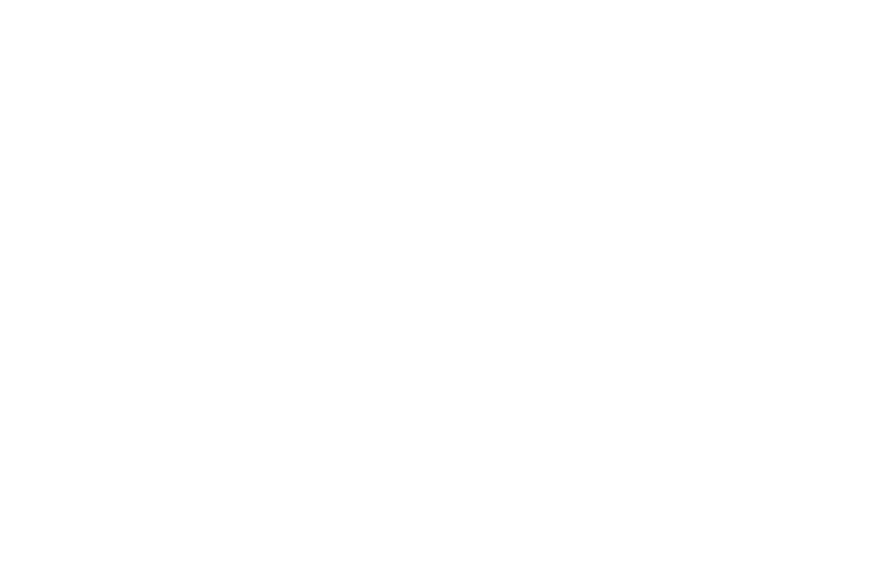Automagnatas NDS